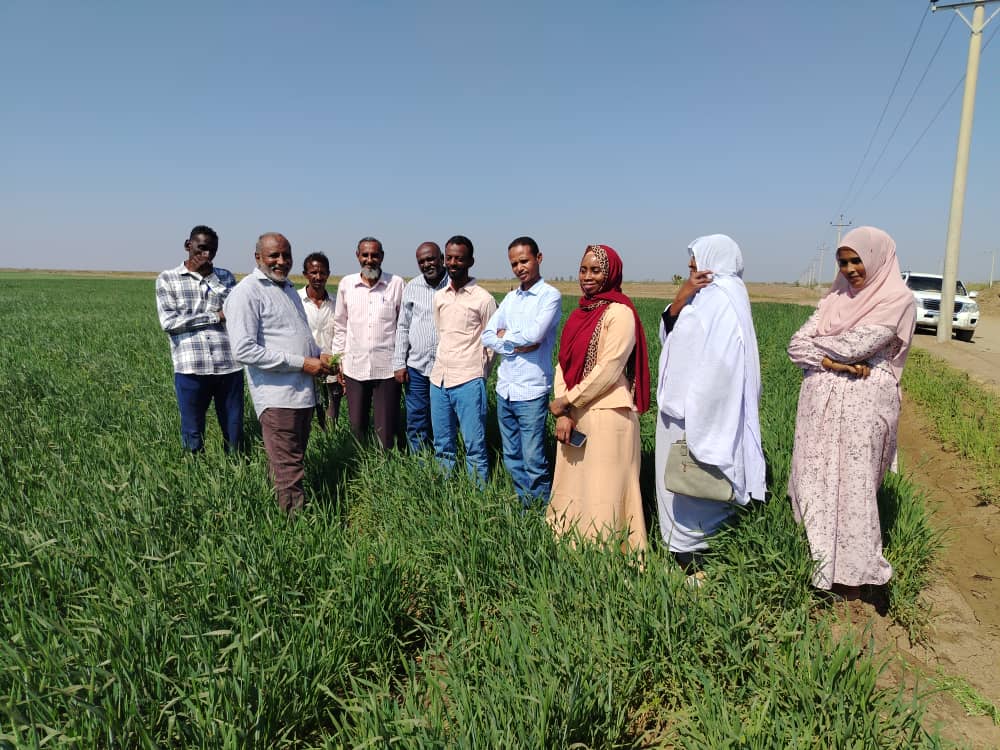 وفد اتحادي في زيارة لهيئة حلفا الزراعية الجديدة لمتابعة الموسم الشتوي